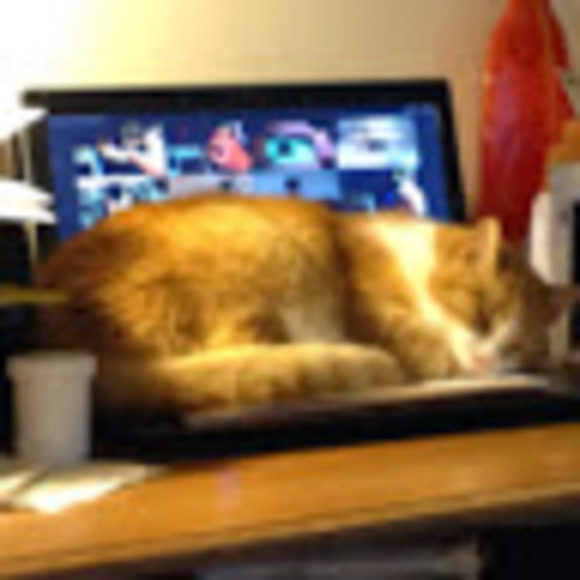 Meet your Posher, Kristina - Picture 1 of 1